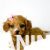 IMG-20241004-WA0006