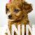 IMG-20241004-WA0001