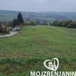draževac1