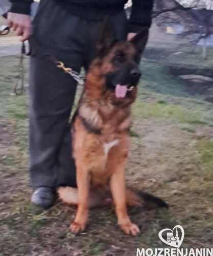 viber_slika_2025-03-18_17-52-35-138 viber_slika_2025-03-18_17-52-35-138
