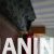 20250301_121939