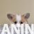 viber_image_2025-03-16_20-43-04-355 viber_image_2025-03-16_20-43-04-355