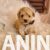 viber_image_2025-03-07_12-43-20-734-768x1024 viber_image_2025-03-07_12-43-20-734-768x1024
