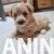 viber_image_2025-03-07_12-43-20-778-768x1024 viber_image_2025-03-07_12-43-20-778-768x1024