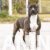4viber_slika_2025-04-29_10-52-40-120