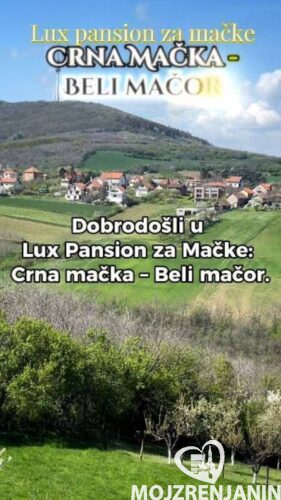 pansion za mačke 01 pansion za mačke 01