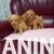 3  maltipoo  G0525