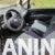 3 3
