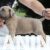 2IMG-20250512-WA0003