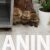 3 boo  N0525