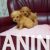 4  maltipoo  G0525