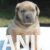 4IMG-20250512-WA0004