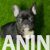 viber_image_2025-06-06_17-33-46-886 viber_image_2025-06-06_17-33-46-886