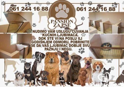 viber_image_2024-11-25_10-54-10-520-1024x719 viber_image_2024-11-25_10-54-10-520-1024x719