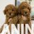 viber_image_2025-06-06_21-53-52-200