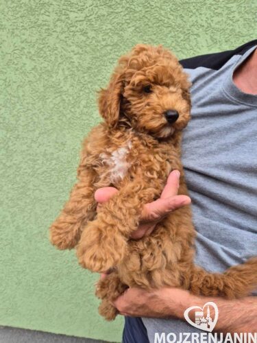 viber_image_2025-07-10_22-17-36-023 viber_image_2025-07-10_22-17-36-023