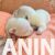 4  mini civava  B0725