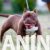 viber_image_2025-07-28_16-11-14-919 viber_image_2025-07-28_16-11-14-919