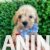viber_image_2025-08-01_00-12-37-859 viber_image_2025-08-01_00-12-37-859