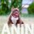 viber_image_2025-07-28_16-11-14-688 viber_image_2025-07-28_16-11-14-688