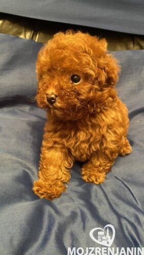 1,viber_slika_2025-06-24_14-21-32-387 1,viber_slika_2025-06-24_14-21-32-387
