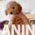 viber_image_2025-08-15_11-44-33-650 viber_image_2025-08-15_11-44-33-650
