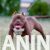 viber_image_2025-07-28_16-11-15-244 viber_image_2025-07-28_16-11-15-244