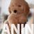 viber_image_2025-08-15_11-45-14-993 viber_image_2025-08-15_11-45-14-993