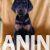 viber_image_2025-09-15_13-22-52-404-676x1024 viber_image_2025-09-15_13-22-52-404-676x1024