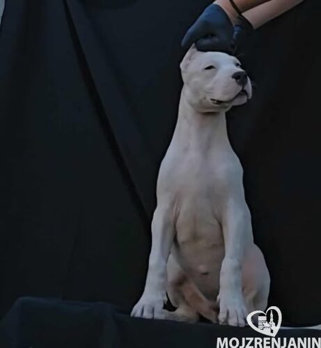 1550267462_665377222783825_2329060391460642469_n 1550267462_665377222783825_2329060391460642469_n