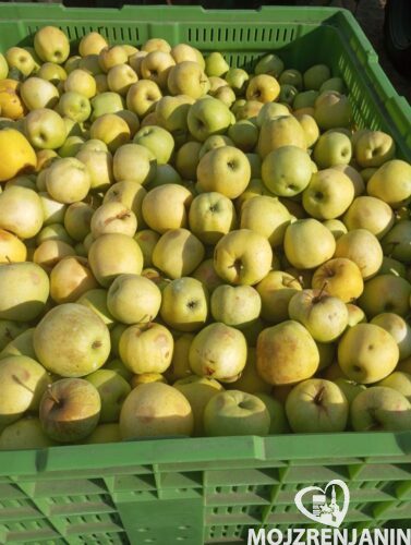 20250924_091838 20250924_091838