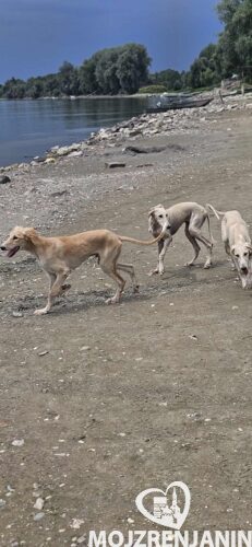 1eee0e3-f6d1-4816-b230-9e5f1c30d61c 1eee0e3-f6d1-4816-b230-9e5f1c30d61c