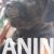 5 canecorsoJN0925 5 canecorsoJN0925