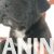 2 canecorsoJN0925 2 canecorsoJN0925