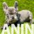 viber_image_2025-08-27_17-28-00-579-768x1024-1 viber_image_2025-08-27_17-28-00-579-768x1024-1