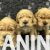e78a2bfa-9f50-4298-a9ce-bfaa436a69aa