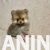 3 pomeranacN1225 3 pomeranacN1225