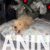 viber_image_2025-12-16_14-15-04-827 viber_image_2025-12-16_14-15-04-827
