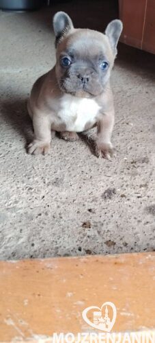 0abf3bfdbb-7b15-40c0-b043-a669c3bf2420 0abf3bfdbb-7b15-40c0-b043-a669c3bf2420