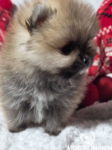 viber_image_2026-01-02_21-16-05-400 viber_image_2026-01-02_21-16-05-400