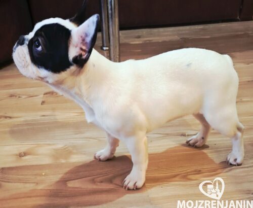 viber_image_2026-02-18_13-28-52-579 viber_image_2026-02-18_13-28-52-579