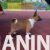 basenji 04