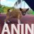 basenji 03