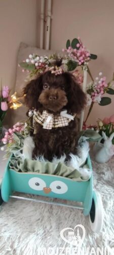 1ba77f9-48bc-4161-ad93-121b5c0aed62 (1) 1ba77f9-48bc-4161-ad93-121b5c0aed62 (1)