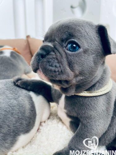 aviber_image_2026-01-08_17-46-07-861-768x1024-1-1-1 aviber_image_2026-01-08_17-46-07-861-768x1024-1-1-1