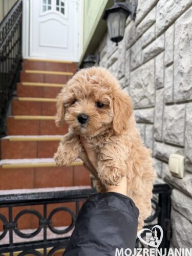 1 1