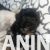 viber_image_2026-03-11_17-04-38-645 viber_image_2026-03-11_17-04-38-645