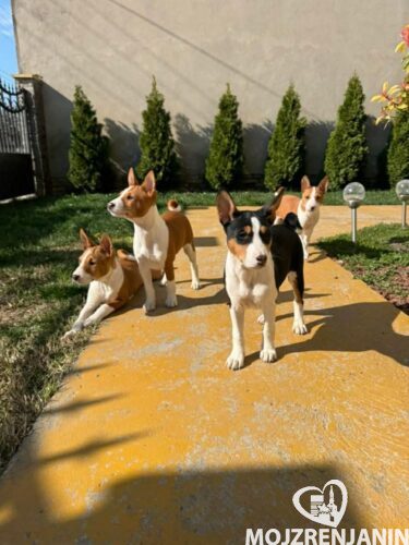 a302ea9a-cd84-4121-a668-ba0034ced997 a302ea9a-cd84-4121-a668-ba0034ced997