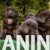 f7a4a5c4-f97b-4e1b-a625-cfc68aa32ac2 f7a4a5c4-f97b-4e1b-a625-cfc68aa32ac2