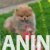 viber_image_2026-04-06_22-57-25-244 viber_image_2026-04-06_22-57-25-244